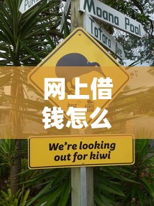 网上借钱怎么借不出来?这5个关键点你可能忽略了 网上借钱怎么借不出来?这5个关键点你可能忽略了