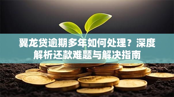 翼龙贷逾期多年如何处理？深度解析还款难题与解决指南