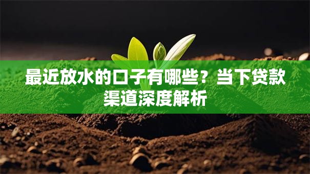 最近放水的口子有哪些?当下贷款渠道深度解析 最近放水的口子有哪些?当下贷款渠道深度解析