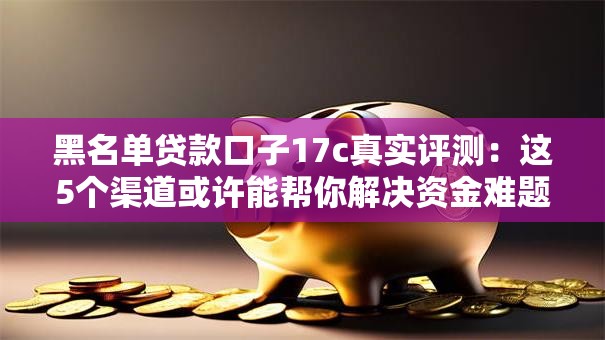 黑名单贷款口子17c真实评测:这5个渠道或许能帮你解决资金难题 黑名单贷款口子17c真实评测:这5个渠道或许能帮你解决资金难题