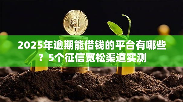 2025年逾期能借钱的平台有哪些？5个征信宽松渠道实测