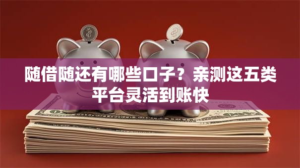 随借随还有哪些口子？亲测这五类平台灵活到账快