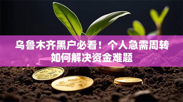 乌鲁木齐黑户必看！个人急需周转如何解决资金难题