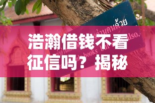浩瀚借钱不看征信吗?揭秘真实审核条件与避坑指南 浩瀚借钱不看征信吗?揭秘真实审核条件与避坑指南