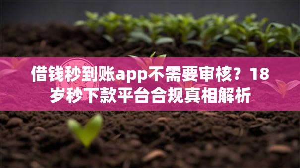借钱秒到账app不需要审核？18岁秒下款平台合规真相解析