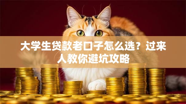 大学生贷款老口子怎么选?过来人教你避坑攻略 大学生贷款老口子怎么选?过来人教你避坑攻略