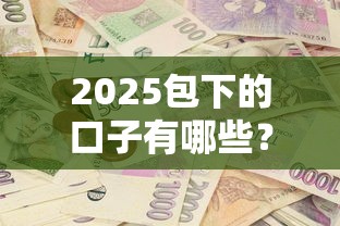 2025包下的口子有哪些？最新解析+申请攻略一篇搞定！