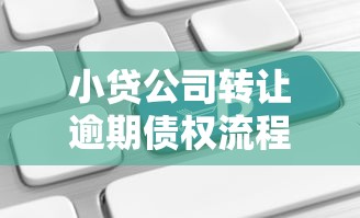 小贷公司转让逾期债权流程解析及风险应对指南