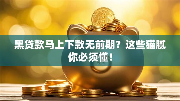 黑贷款马上下款无前期?这些猫腻你必须懂! 黑贷款马上下款无前期?这些猫腻你必须懂!