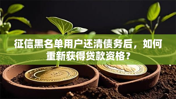 征信黑名单用户还清债务后，如何重新获得贷款资格？