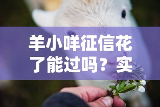 羊小咩征信花了能过吗？实测经验分享，这些方法可以试试！