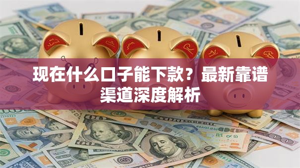 现在什么口子能下款？最新靠谱渠道深度解析
