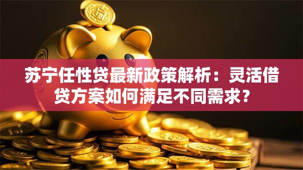 苏宁任性贷最新政策解析：灵活借贷方案如何满足不同需求？