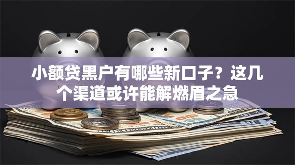 小额贷黑户有哪些新口子?这几个渠道或许能解燃眉之急 小额贷黑户有哪些新口子?这几个渠道或许能解燃眉之急