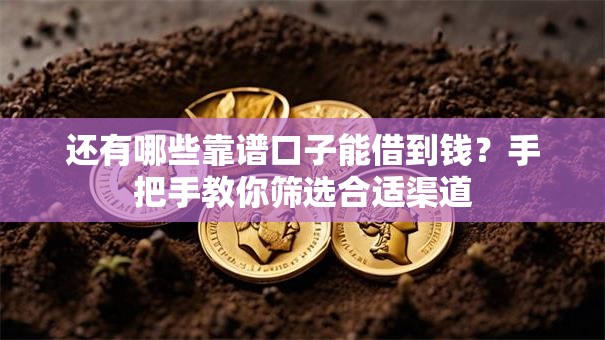还有哪些靠谱口子能借到钱？手把手教你筛选合适渠道