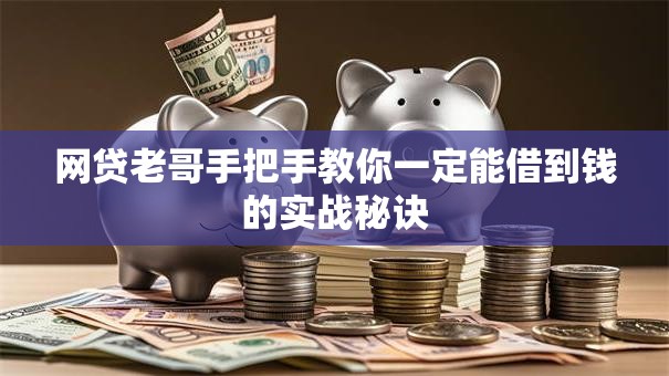 网贷老哥手把手教你一定能借到钱的实战秘诀 网贷老哥手把手教你一定能借到钱的实战秘诀