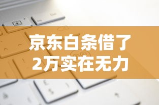 京东白条借了2万实在无力偿还？试试这些自救妙招
