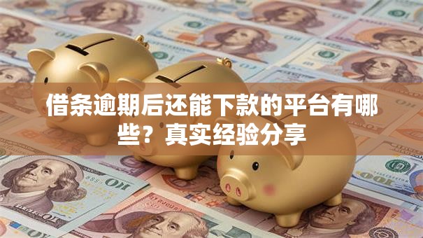 借条逾期后还能下款的平台有哪些？真实经验分享
