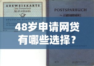 48岁申请网贷有哪些选择？中年用户必看的口子推荐与避坑指南