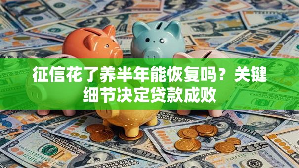 征信花了养半年能恢复吗？关键细节决定贷款成败