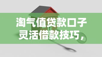淘气值贷款口子灵活借款技巧，轻松搞定资金需求