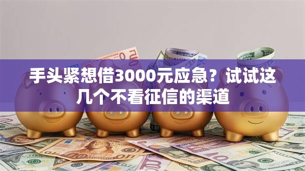 手头紧想借3000元应急?试试这几个不看征信的渠道 手头紧想借3000元应急?试试这几个不看征信的渠道