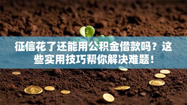 征信花了还能用公积金借款吗？这些实用技巧帮你解决难题！