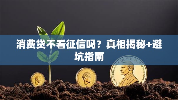 消费贷不看征信吗？真相揭秘+避坑指南