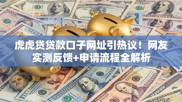 虎虎贷贷款口子网址引热议！网友实测反馈+申请流程全解析