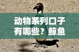 动物系列口子有哪些？鲸鱼熊猫企鹅贷对比测评
