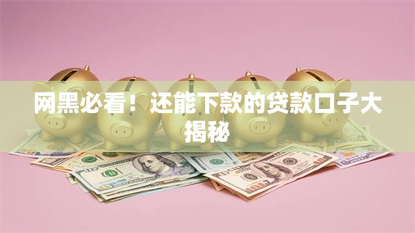 网黑必看！还能下款的贷款口子大揭秘
