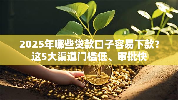 2025年哪些贷款口子容易下款？这5大渠道门槛低、审批快