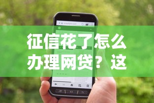 征信花了怎么办理网贷？这3个正确思路帮你找到靠谱平台