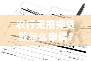 农行无抵押贷款怎么申请？手把手教你搞懂条件和流程