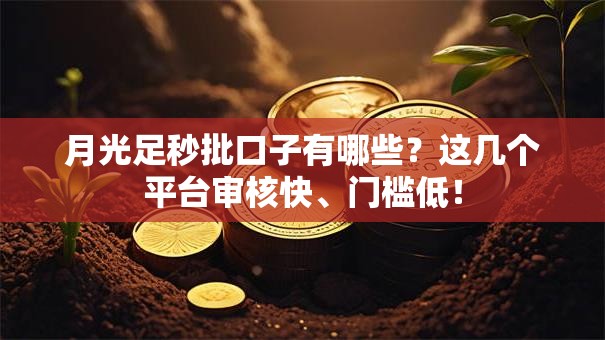 月光足秒批口子有哪些？这几个平台审核快、门槛低！