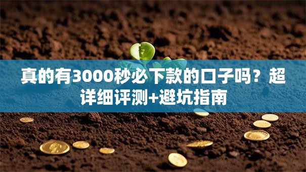 真的有3000秒必下款的口子吗？超详细评测+避坑指南