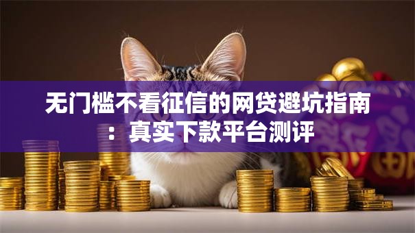 无门槛不看征信的网贷避坑指南：真实下款平台测评