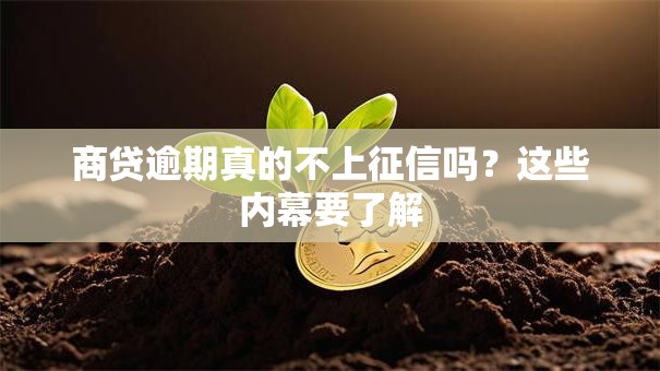 商贷逾期真的不上征信吗？这些内幕要了解