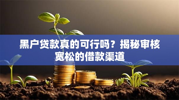 黑户贷款真的可行吗？揭秘审核宽松的借款渠道