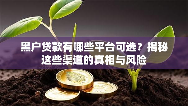 黑户贷款有哪些平台可选？揭秘这些渠道的真相与风险