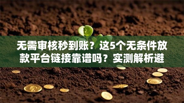 无需审核秒到账？这5个无条件放款平台链接靠谱吗？实测解析避坑指南