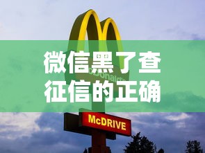 微信黑了查征信的正确方法 手把手教你避开风险 微信黑了查征信的正确方法 手把手教你避开风险