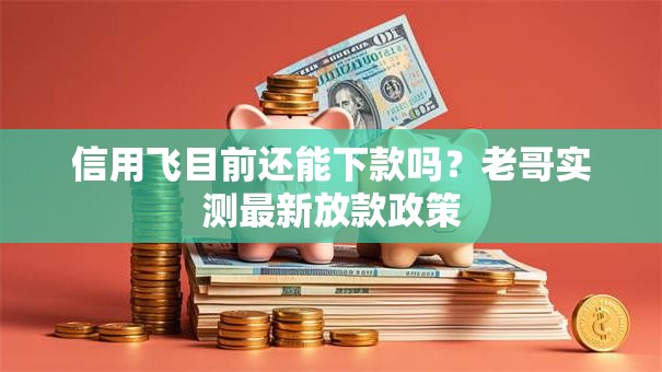 信用飞目前还能下款吗?老哥实测最新放款政策 信用飞目前还能下款吗?老哥实测最新放款政策
