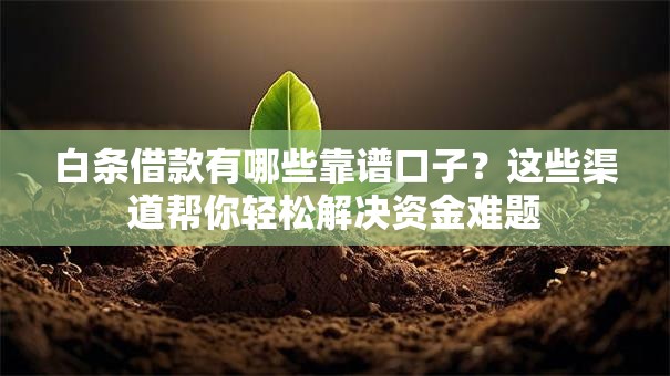 白条借款有哪些靠谱口子?这些渠道帮你轻松解决资金难题 白条借款有哪些靠谱口子?这些渠道帮你轻松解决资金难题