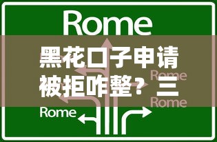 黑花口子申请被拒咋整？三大核心原因+破解技巧全解析