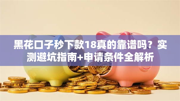 黑花口子秒下款18真的靠谱吗？实测避坑指南+申请条件全解析