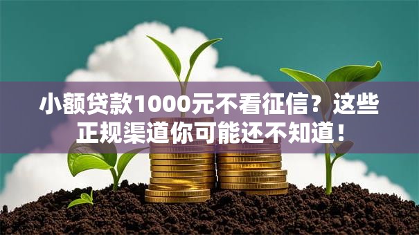 小额贷款1000元不看征信?这些正规渠道你可能还不知道! 小额贷款1000元不看征信?这些正规渠道你可能还不知道!