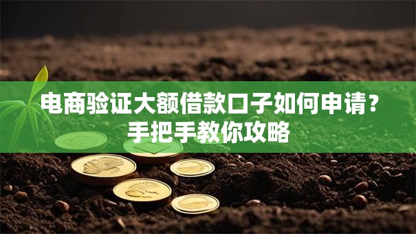 电商验证大额借款口子如何申请？手把手教你攻略