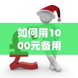 如何用1000元备用金撑过14天？实用攻略+避坑指南