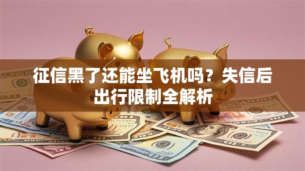 征信黑了还能坐飞机吗?失信后出行限制全解析 征信黑了还能坐飞机吗?失信后出行限制全解析